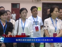 临渭区政协调研全区老旧小区改造工作