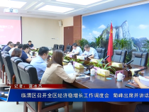 临渭区召开全区经济稳增长工作调度会  菊峰出席并讲话