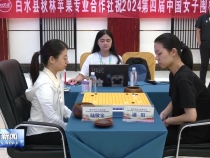 “白水苹果杯”2024第四届中国女子围棋国手赛开赛 “棋圣”聂卫平助力