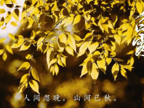 【健康渭南】白露：玉露生凉 秋思渐长