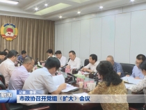 市政协召开党组（扩大）会议