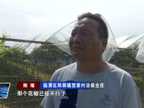 阳郭镇贺家村：培养致富带头人 乡村振兴有底气