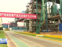 陈晓勇在潼关县和华州区调研时强调 坚持矿产资源开发和保护并重 推动矿业经济健康可持续发展