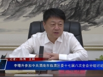 李曙升参加中共渭南市临渭区委十七届八次全会分组讨论