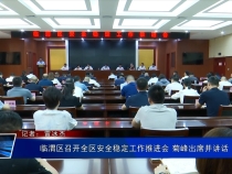 临渭区召开全区安全稳定工作推进会 菊峰出席并讲话