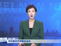 市纪委召开常委会会议