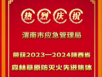 喜報！渭南市應急管理局榮獲2023—2024陜西省森林草原防滅火工作先進集體
