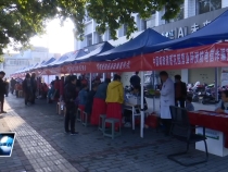 全市敬老月主题志愿服务活动在临渭区启动