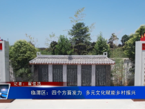 临渭区：四个方面发力  多元文化赋能乡村振兴