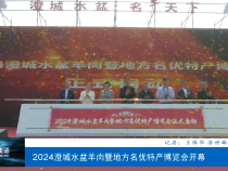 2024澄城水盆羊肉暨地方名優特產博覽會開幕