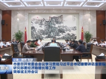 市委召开常委会会议学习贯彻习近平总书记重要讲话重要指示精神 研究部署经济稳增长等工作 樊维斌主持会议
