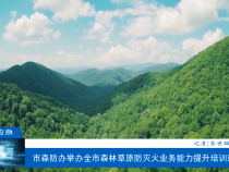 【渭南應急】市森防辦舉辦全市森林草原防滅火業務能力提升培訓班
