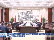 全市创建全国文明城市工作指挥部办公室第六次会议召开 王心出席会议并讲话