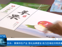 【相约知识产权】白水：聚焦特色产业 强化品牌建设 助力区域经济高质量发展