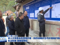 省人大常委会在渭南开展《陕西省秦岭生态环境保护条例》执法检查 樊维斌带队