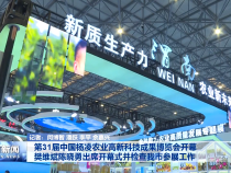 第31届中国杨凌农业高新科技成果博览会开幕 樊维斌陈晓勇出席开幕式并检查我市参展工作