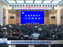 全省苏陕协作现场观摩培训会在我市举办