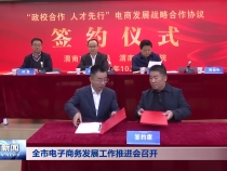 全市电子商务发展工作推进会召开