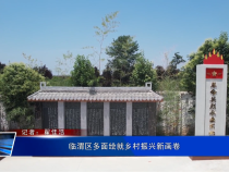 临渭区多面绘就乡村振兴新画卷