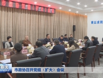 市政协召开党组（扩大）会议