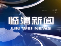 11月6日临渭新闻