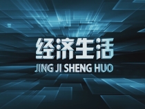 1106经济生活