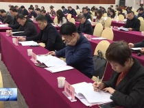 市政协召开委员履职能力提升暨全市政协反映社情民意信息工作培训会