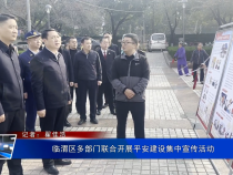 临渭区多部门联合开展平安建设集中宣传活动