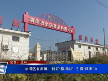 临渭区官底镇：种好“梧桐树”  引得“凤凰”来