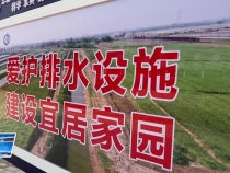 临渭区人大常委会调研渭北排碱工程建设运行情况