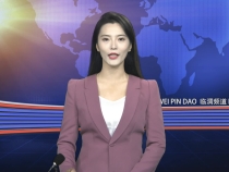 11月11日临渭新闻