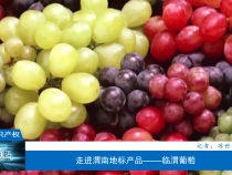 【相约知识产权】走进渭南地标产品——临渭葡萄