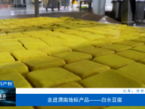 【相约知识产权】走进渭南地标产品——白水豆腐