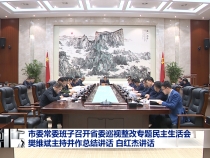 市委常委班子召开省委巡视整改专题民主生活会 樊维斌主持并作总结讲话 白红杰讲话