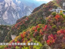 冬日華山 楓紅松翠