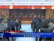 临渭区召开省级巩固拓展脱贫攻坚成果和乡村振兴集中排查问题反馈会