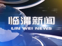 11月15日临渭新闻