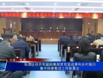 临渭区召开巩固拓展脱贫攻坚成果和乡村振兴集中排查整改工作部署会