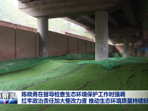 陈晓勇在督导检查生态环境保护工作时强调 扛牢政治责任加大整改力度 推动生态环境质量持续好转