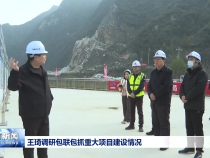 王琦调研包联包抓重大项目建设情况