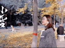 【健康渭南】邂逅小雪 靜享冬韻