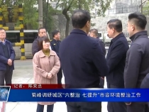菊峰调研城区“六整治 七提升”市容环境整治工作