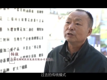 牢记嘱托加油干｜致富黄花朵朵开