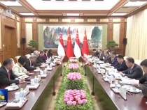 习近平会见新加坡国务资政李显龙