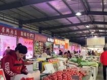 冬季供應不斷檔 市民“菜籃子”有保障