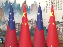 习近平会见萨摩亚总理菲娅梅
