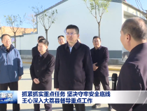 抓紧抓实重点任务 坚决守牢安全底线 王心深入大荔县督导重点工作