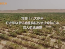防沙治沙，习近平总书记的深切牵挂