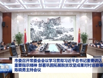 市委召开常委会会议 学习贯彻习近平总书记重要讲话重要指示精神 部署巩固拓展脱贫攻坚成果对村巡察等工作 陈晓勇主持会议