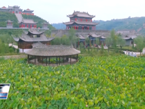 12月16日臨渭新聞